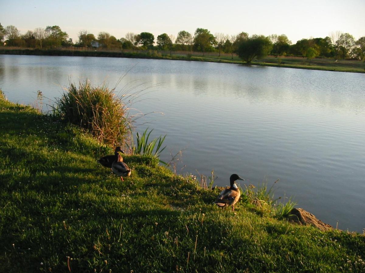 Camping Du Lac De Saujon Luaran gambar